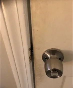 Door knob